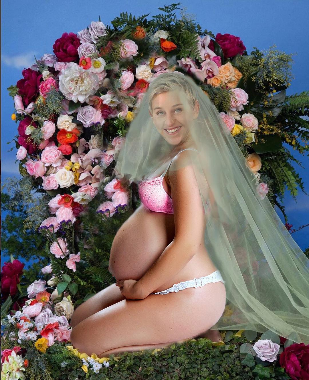 Ellen DeGeneres meme Beyoncé grávida