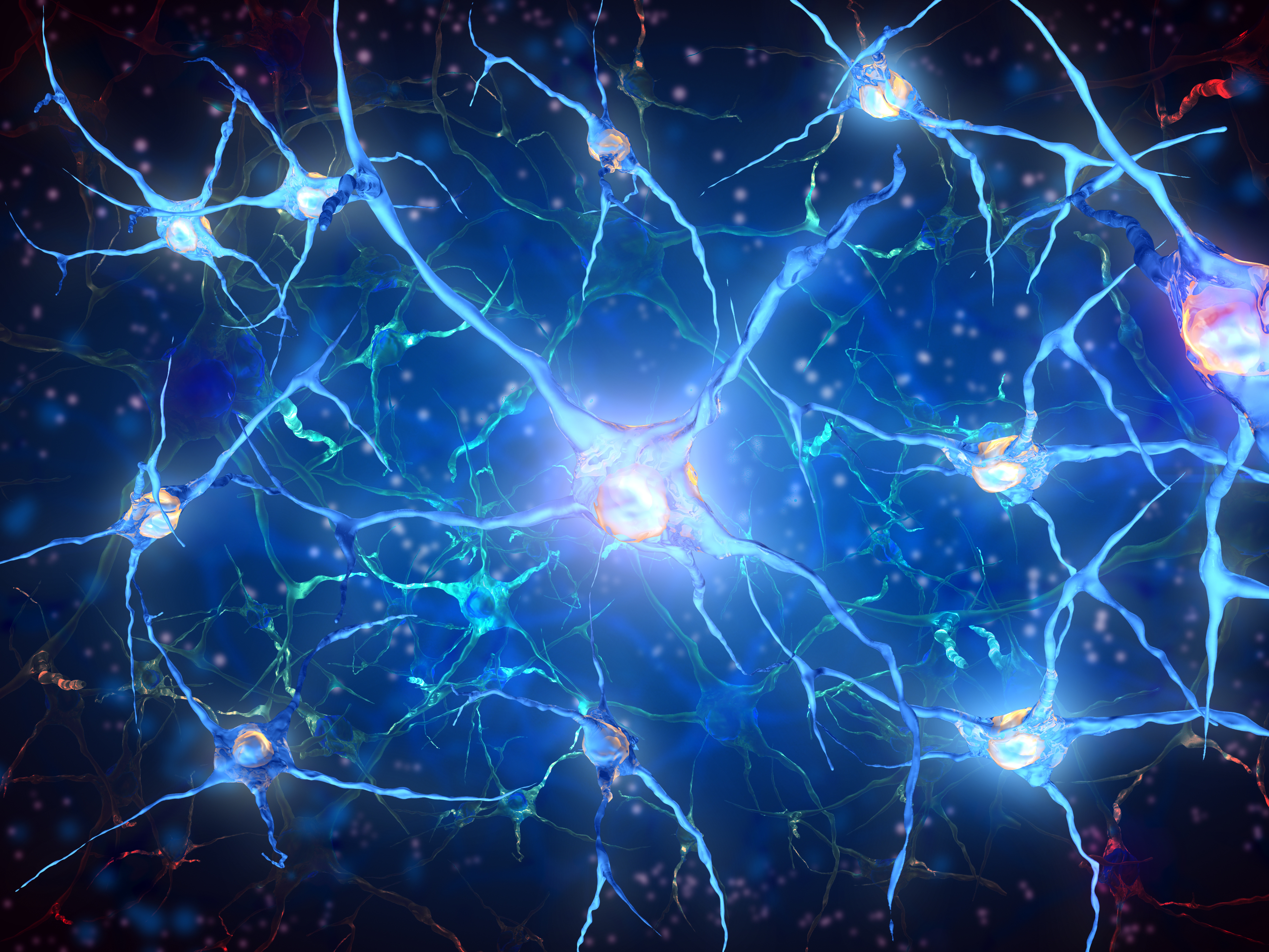 Brain neurons. Нейроны. Нейроны мозга. Нейронная сеть мозга. Нейронные связи в мозге.